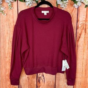Treasure &Bond Plum Puff Shoulder Knit Sweater1559